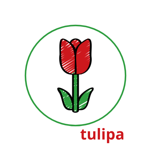 Tulipa Icone padrao