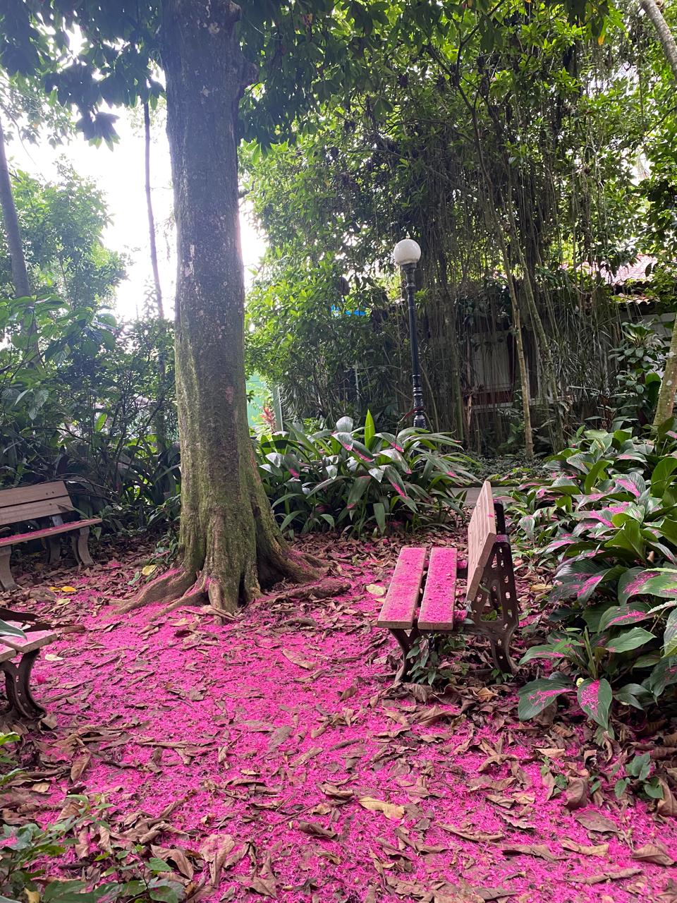 WhatsApp Image 2026 02 26 at 16.30.57